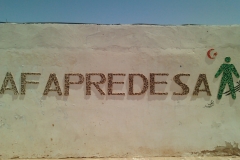 IMG_20160331_141947535