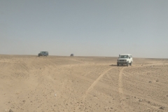 IMG_20160401_161954373