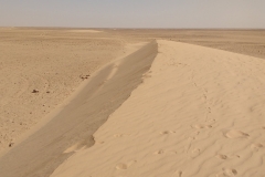 IMG_20160401_163630828