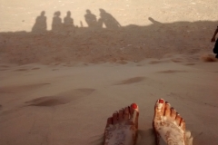 IMG_20160401_191920237