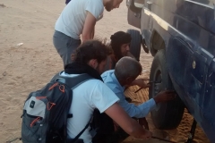 IMG_20160401_203638200