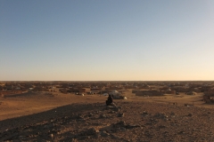 STA_7565