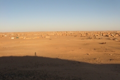 STE_7570