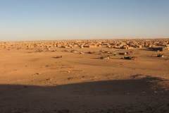 STF_7571